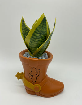 Disney Parks 2022 Pixar Toy Story Andy Woody Boot Succulent Planter New