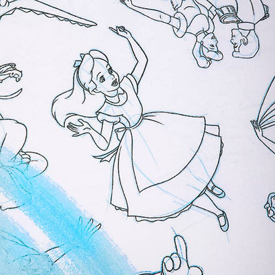 Disney Parks Ink & Paint Throw Walt Disney World New with Tags