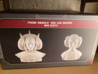 Disney Parks Star Wars Galaxy's Edge Padme Amidala Leia Organa Mini Busts New