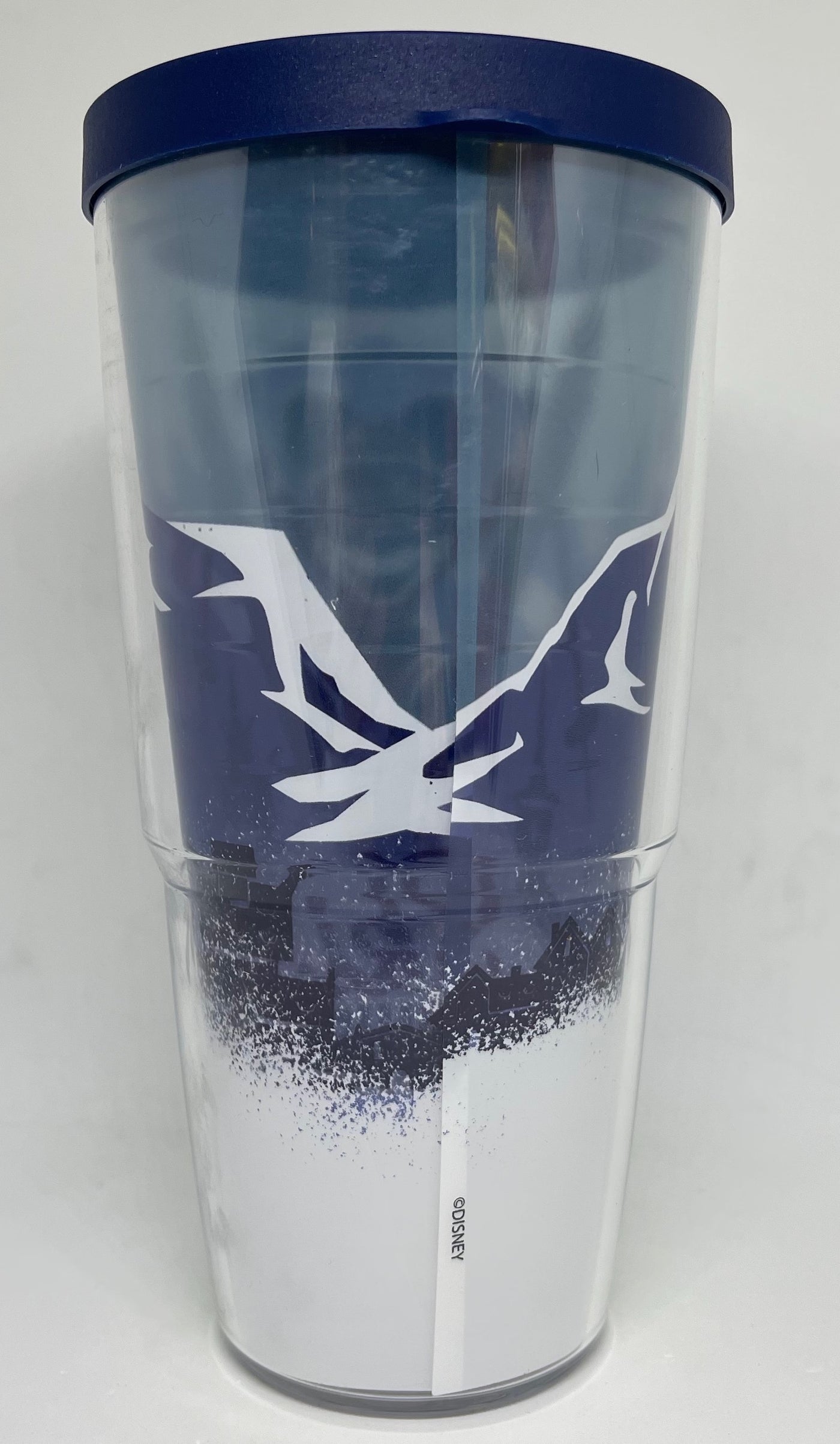 Disney Parks Epcot Mickey Ski Norway Travel Tumbler by Tervis New