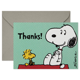 Peanuts Snoopy Assorted Blank Note Cards With Caddy Box of 40 New