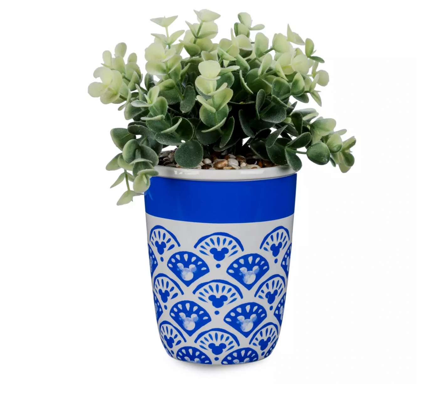 Disney Parks Homestead Mickey Blue Icon Succulent Potted Plant New