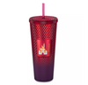 Disney Disneyland Starbucks Sleeping Beauty Castle Geometric Red Tumbler Straw