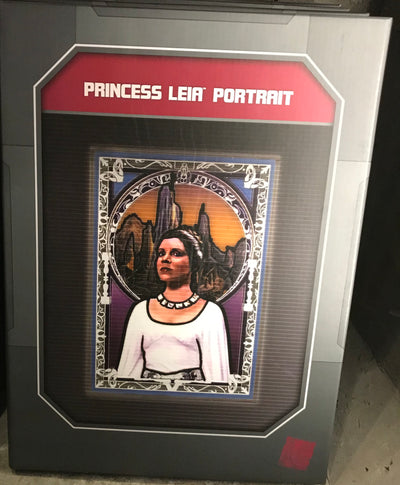 Disney Parks Star Wars Galaxy's Edge Princess Leia Portrait New