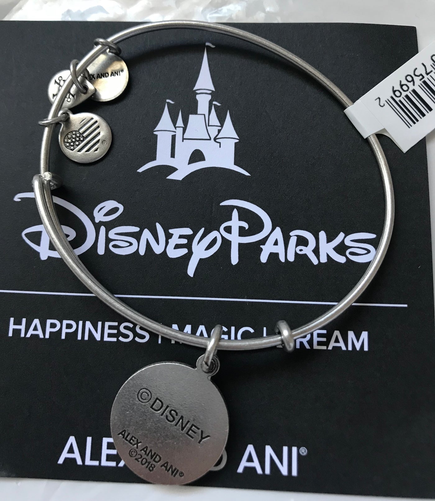 Disney Alex and Ani Epcot Festival Arts Mickey Bangle Silver Finish New