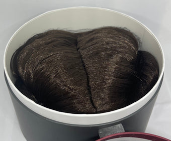 Disney Parks Star Wars Galaxy Edge Royalty Wig Princess Leia New with Case