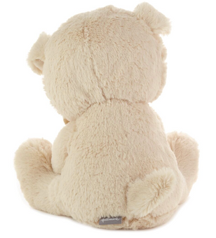 Hallmark Valentine Furever Friends Dog Duo Singing Plush New with Tag