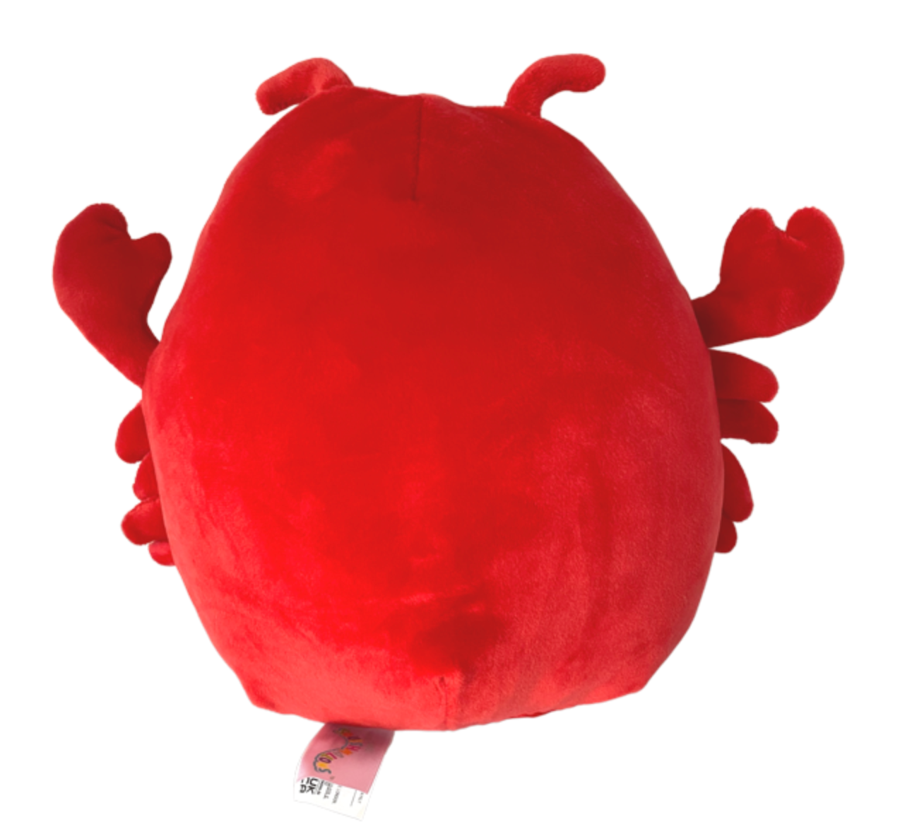 Squishmallows 8" Aneta the Lobster Clawsome Valentine’s Day Plush Toy New W Tag