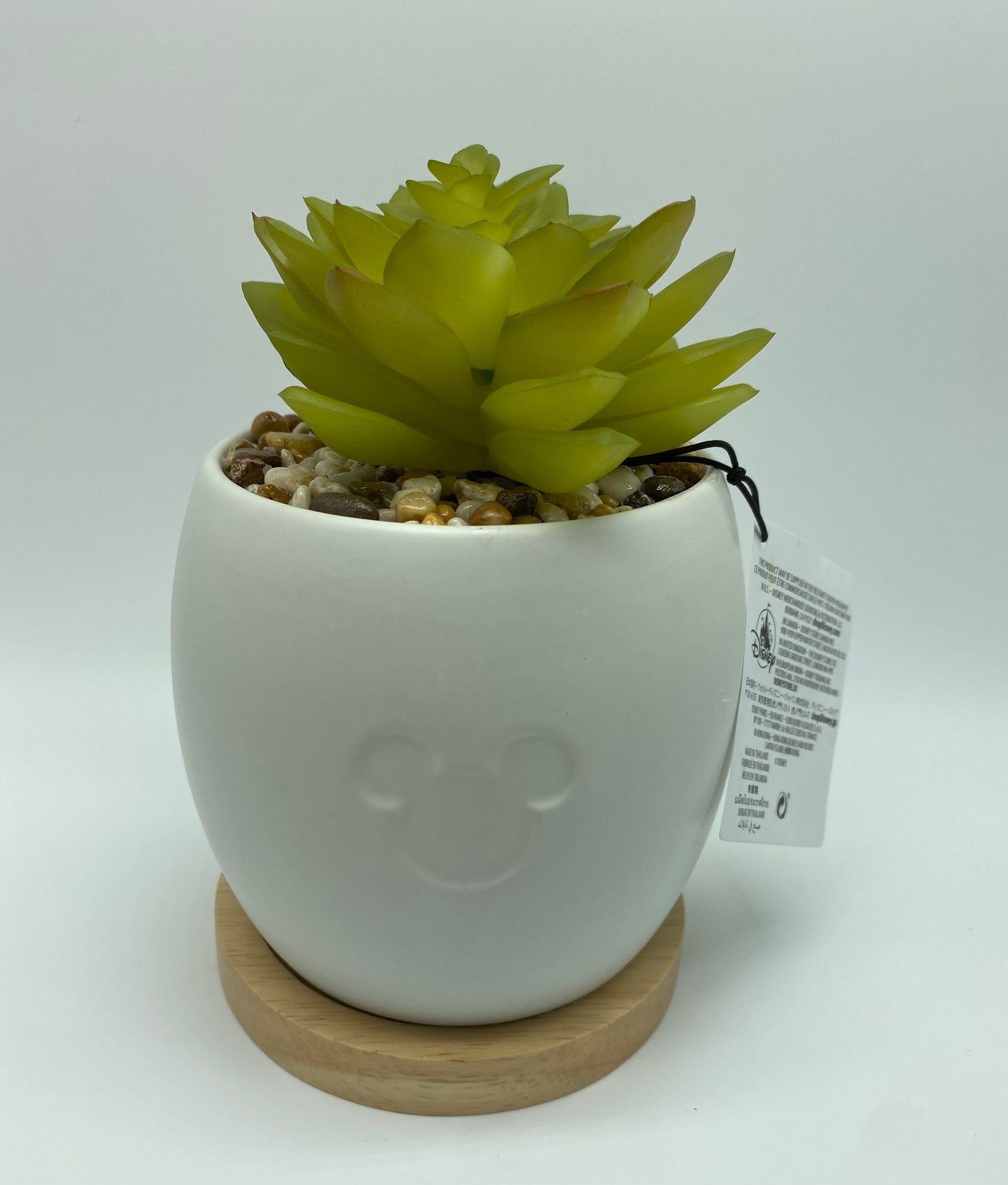 Disney Parks Mickey Icon Be Happy Large Artificial Succulent Potted Plant New Tag