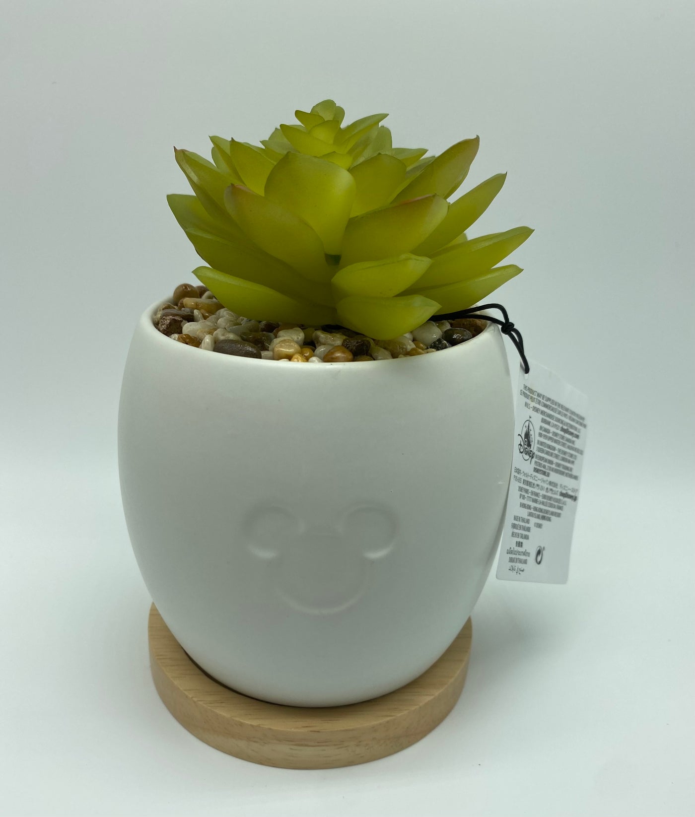 mickey succulent Disney Parks Mickey Icon Be Happy Large Artificial Succulent Potted Pl – I Love Characters