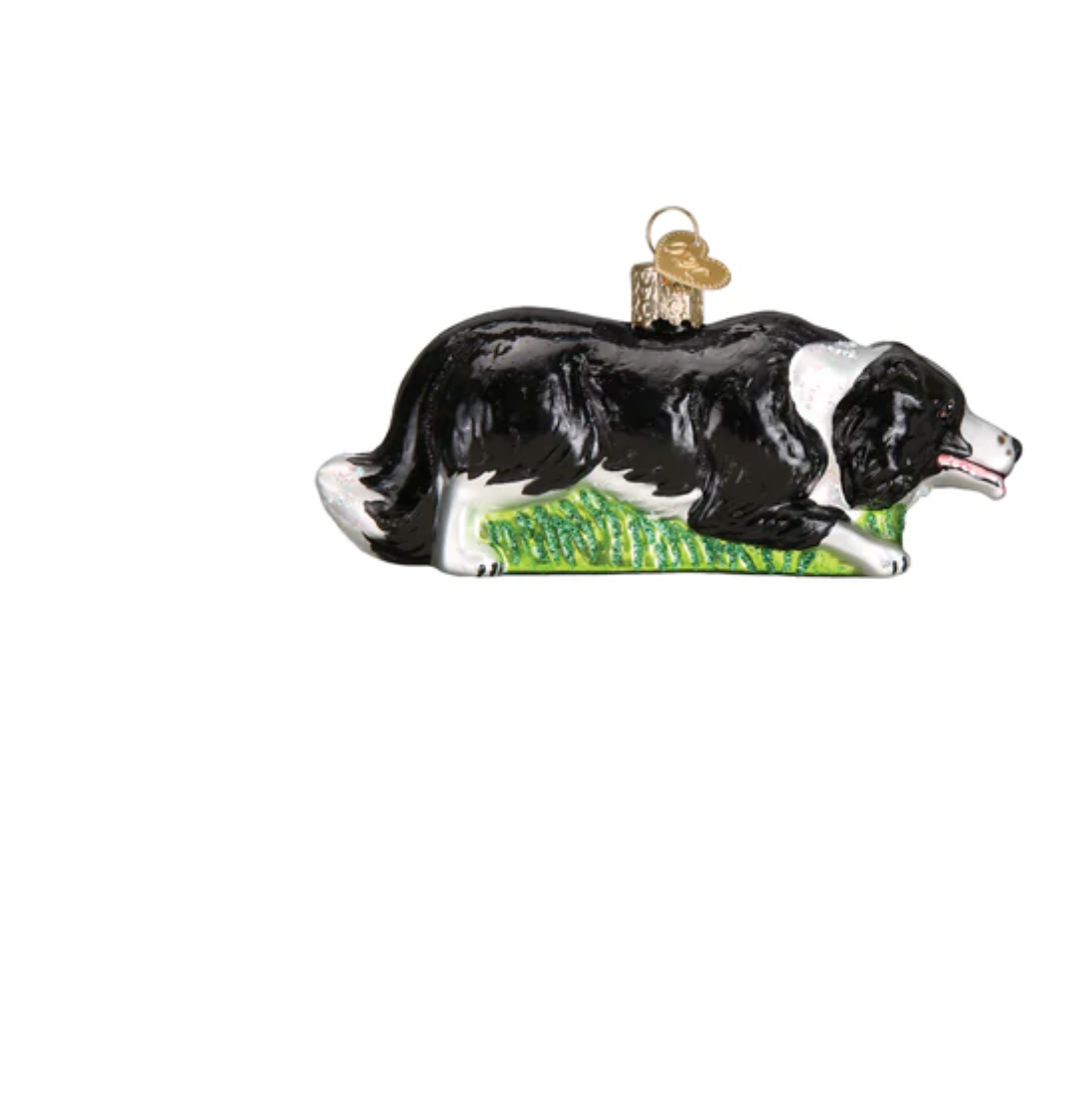 Old World Christmas Herding Border Collie Glass Christmas Ornament New with Box
