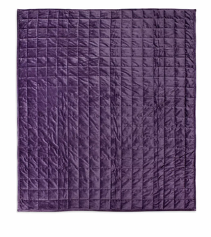 Disney Parks The Haunted Mansion Wallpaper Weighted Quilted Throw New with Tag