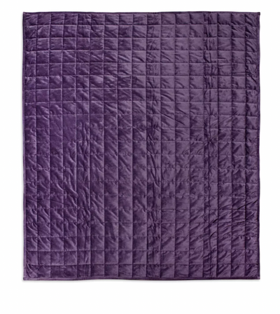 Disney Parks The Haunted Mansion Wallpaper Weighted Quilted Throw New with Tag