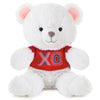 Hallmark Valentine Love Hugs & Kisses Bear XOXO Plush 9" New with Tag