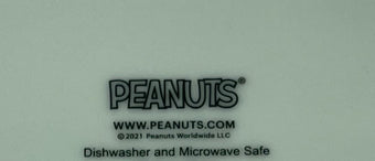 Peanuts Gang Snoopy Happiness is Halloween Trick or Treat Appetizer Tray New