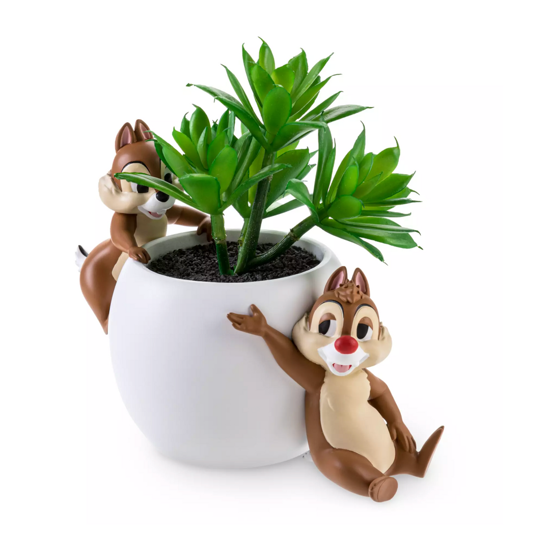 disney chip succulent Disney Parks Critter Chaos Collection Chip 'n Dale Succulent Planter N – I  Love Characters