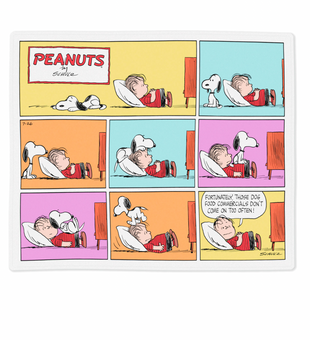 Hallmark Peanuts Snoopy and Linus Comic Strip Throw Blanket 50x60 New with Tag