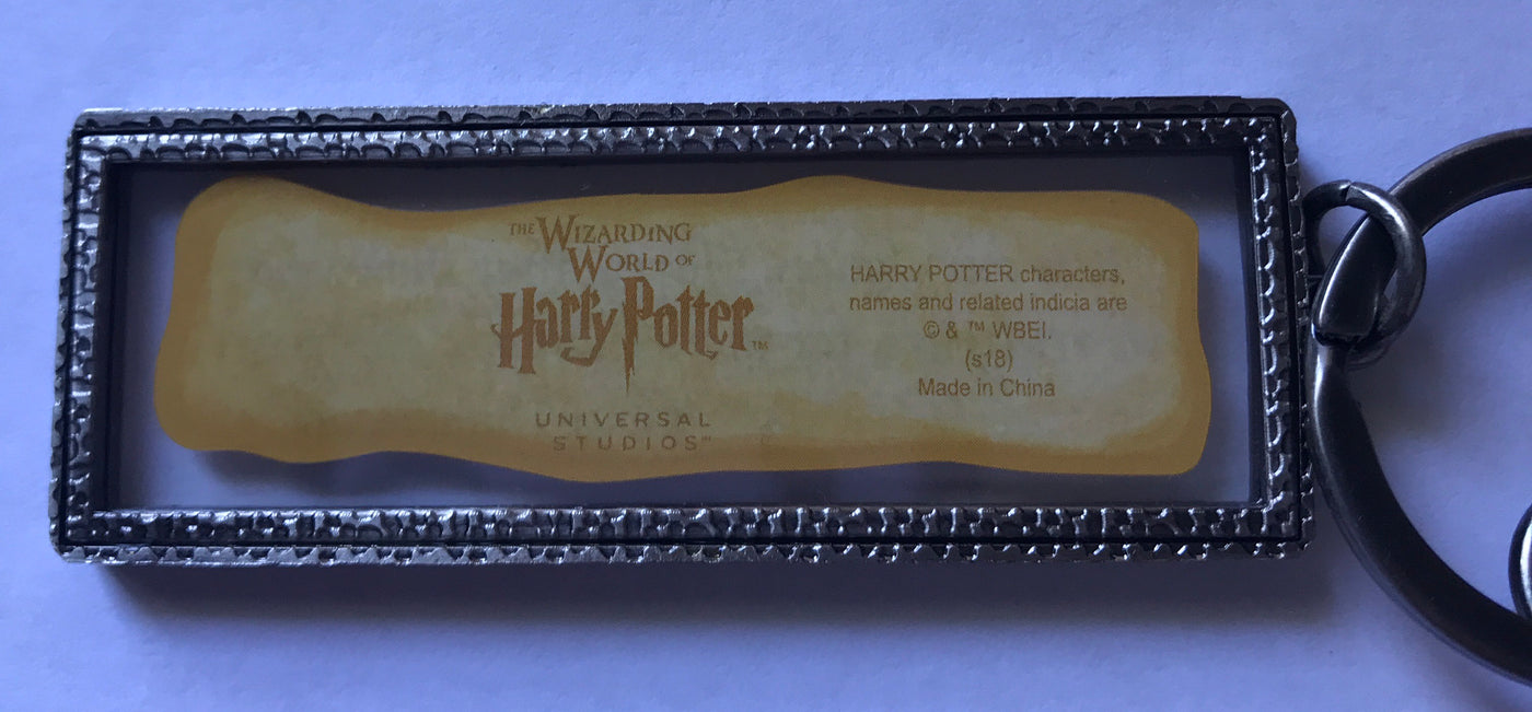 Universal Studios Harry Potter Albus Dumbledore Quote Keychain It Is Our Choises