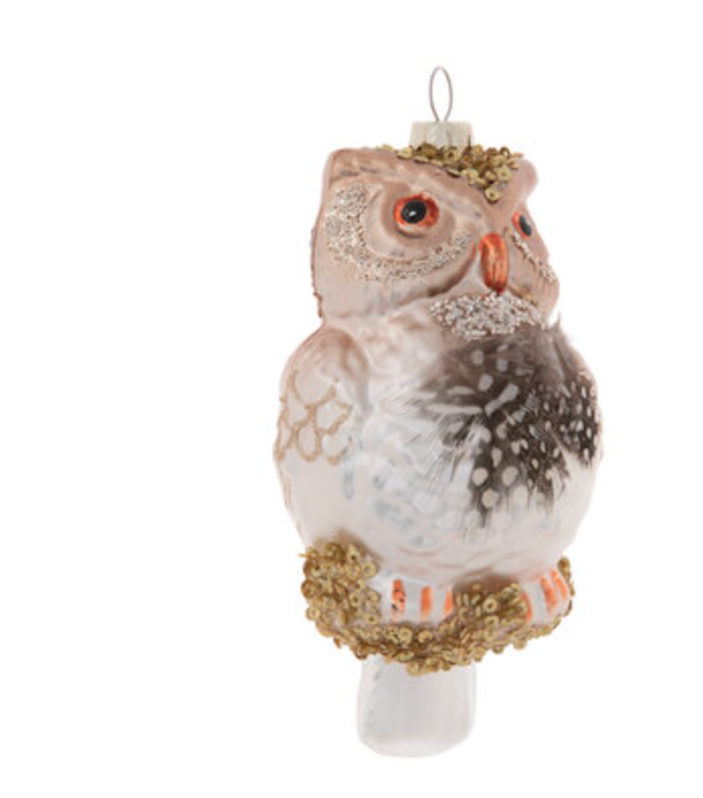 Robert Stanley 2021 Brown Owl Glass Christmas Ornament New with Tag