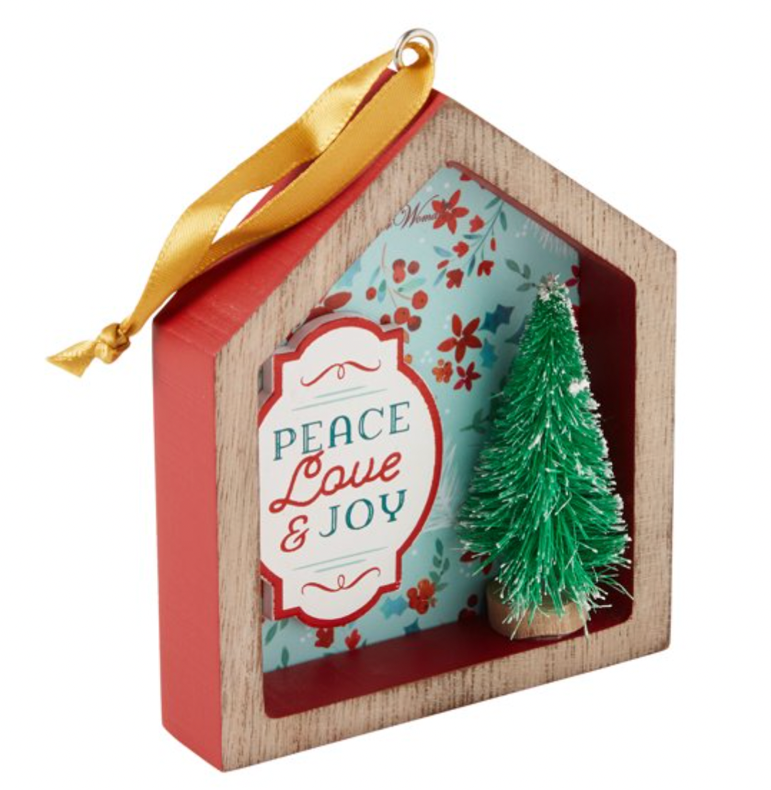 The Pioneer Woman Woman House Shadowbox 3 Piece Ornament Bundle New