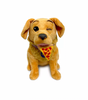 Disney Hawkeye Lucky the Pizza Dog Plush New with Tag
