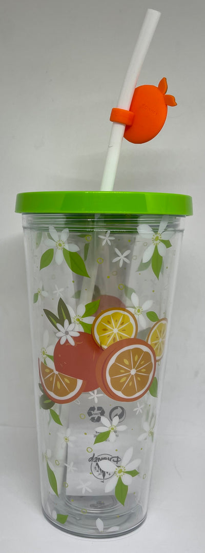 Disney Parks Orange Bird Hello Sunshine Sipper Straw Tumbler Cup with Straw New