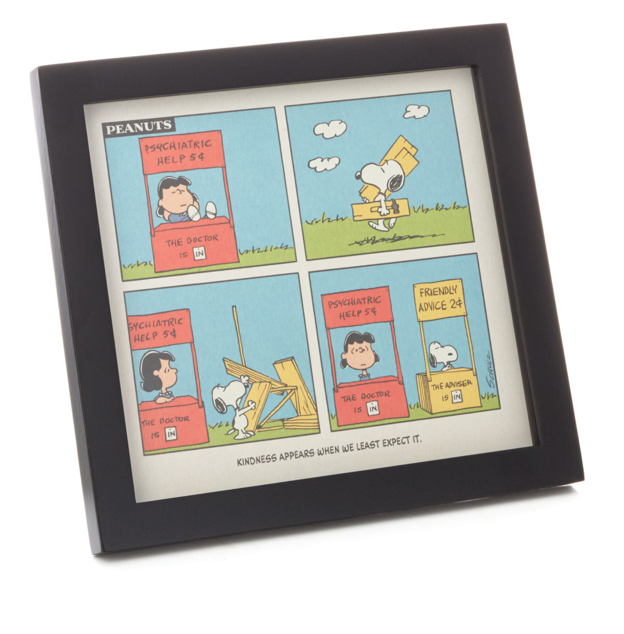 Hallmark Peanuts Lucy and Snoopy Kindness Cartoon Framed Art Quoted Sign New