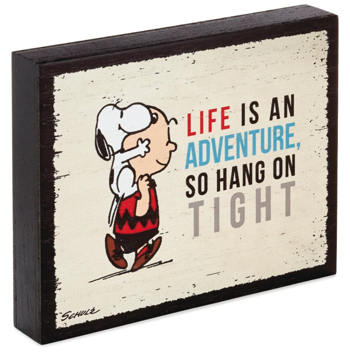 Hallmark Peanuts Charlie Brown and Snoopy Adventure Wood Quote Sign New