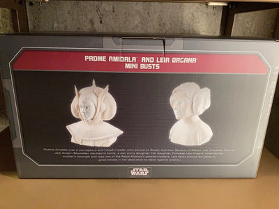 Disney Parks Star Wars Galaxy's Edge Padme Amidala Leia Organa Mini Busts New