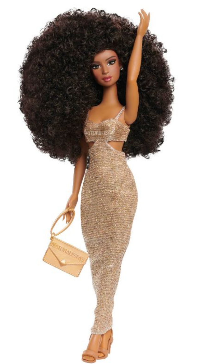 Naturalistas Dayna Fashion Doll Toy New with Box