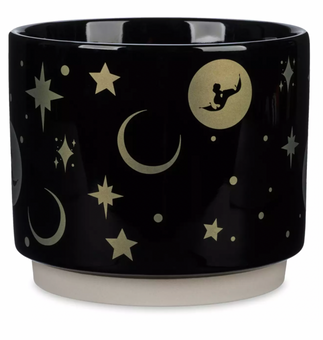 Disney Aladdin Rajah Art Gloss Finish Small Flower Pot Planter New