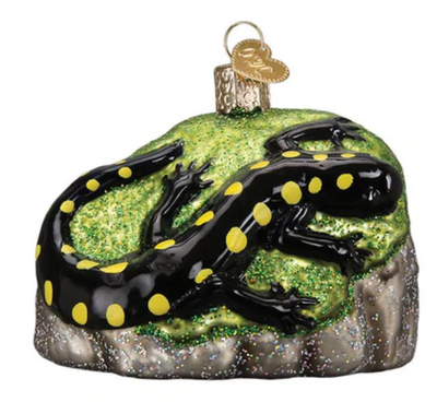 Old World Christmas Salamander Glass Christmas Ornament New With Box
