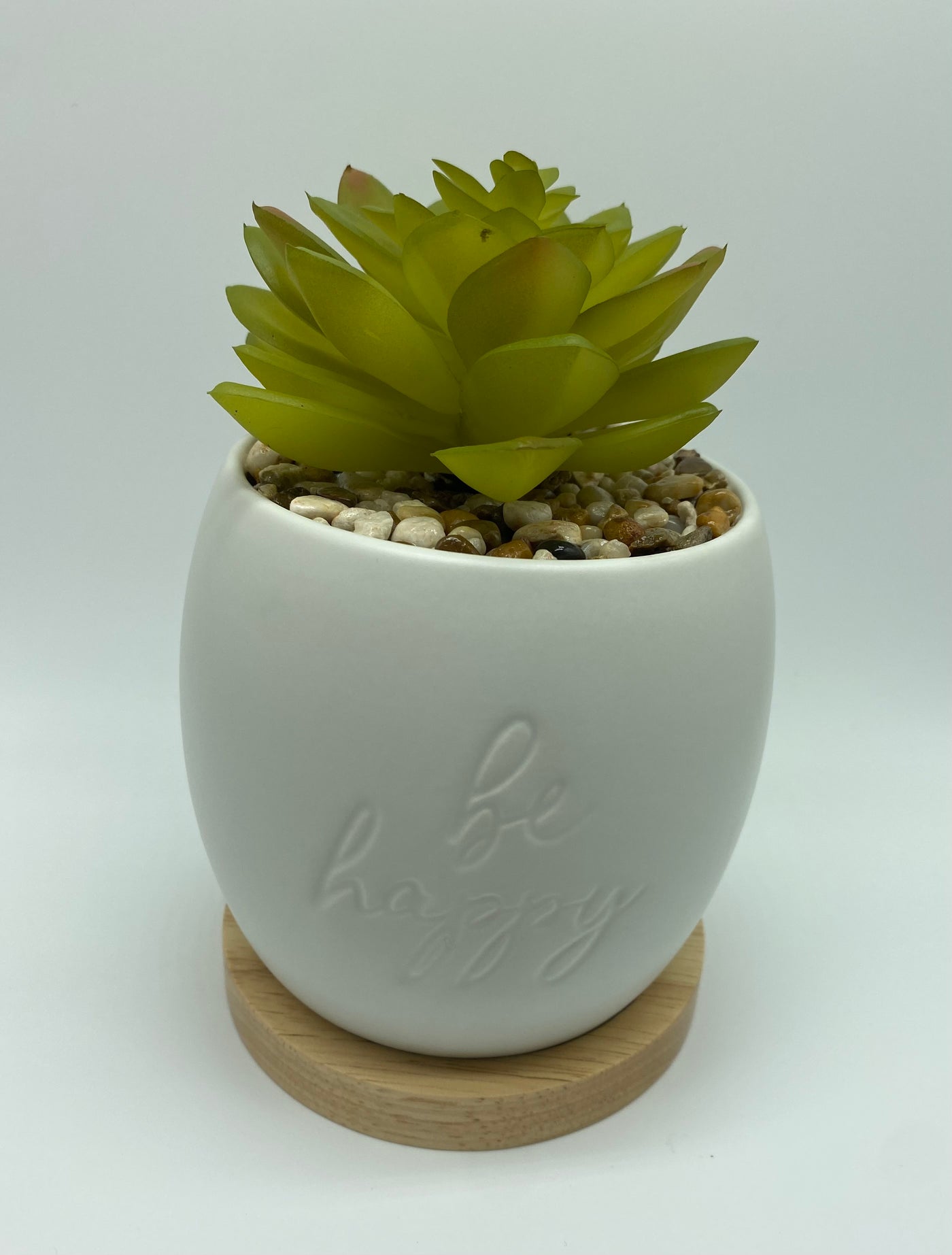 Disney Parks Mickey Icon Be Happy Large Artificial Succulent Potted Plant New Tag