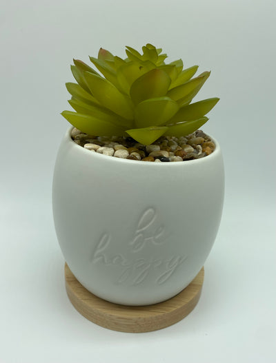 Disney Parks Mickey Icon Be Happy Large Artificial Succulent Potted Plant New Tag