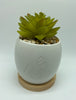Disney Parks Mickey Icon Be Happy Large Artificial Succulent Potted Plant New Tag