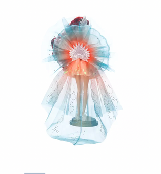 Disney Ultimate Princess Celebration Designer Ariel Limited Doll New with Box