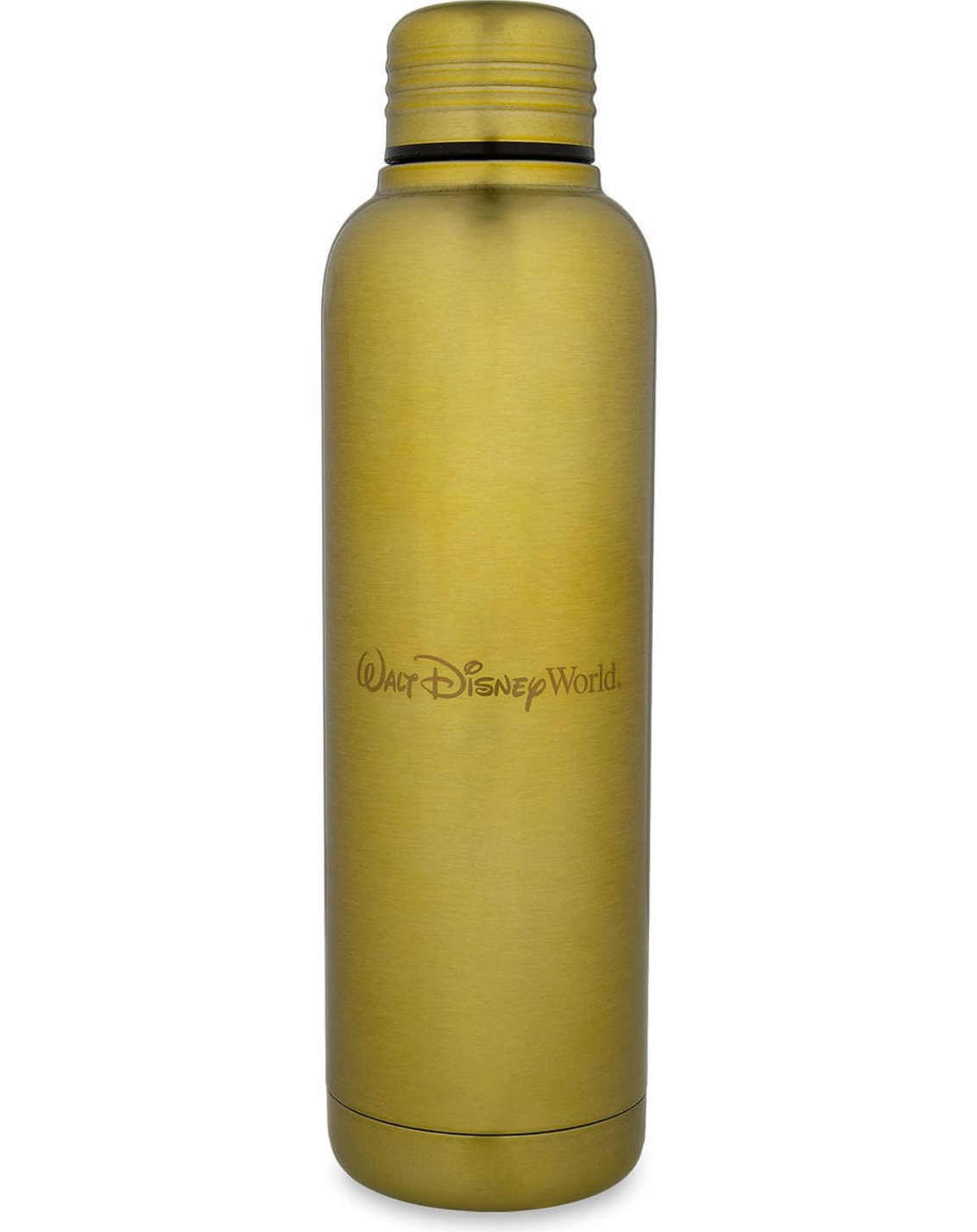 Disney Parks Cinderella Castle Most Magical Place on Earth Water Bottle New