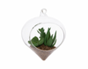 Robert Stanley 2021 Terrarium Glass Christmas Ornament New with Tag