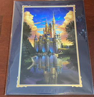 Disney Parks 50th Anniversary Walt Disney World Castle McGullough Print New