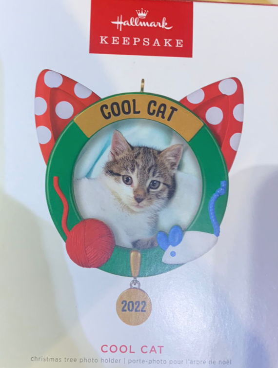 Hallmark 2022 Cool Cat Photo Frame Christmas Ornament New With Box