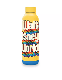 Disney Parks Walt Disney World Stainless Steel Water Bottle New