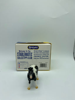 Breyer Horses 2022 Stablemates Club Glossy Jameson Limited New with Box
