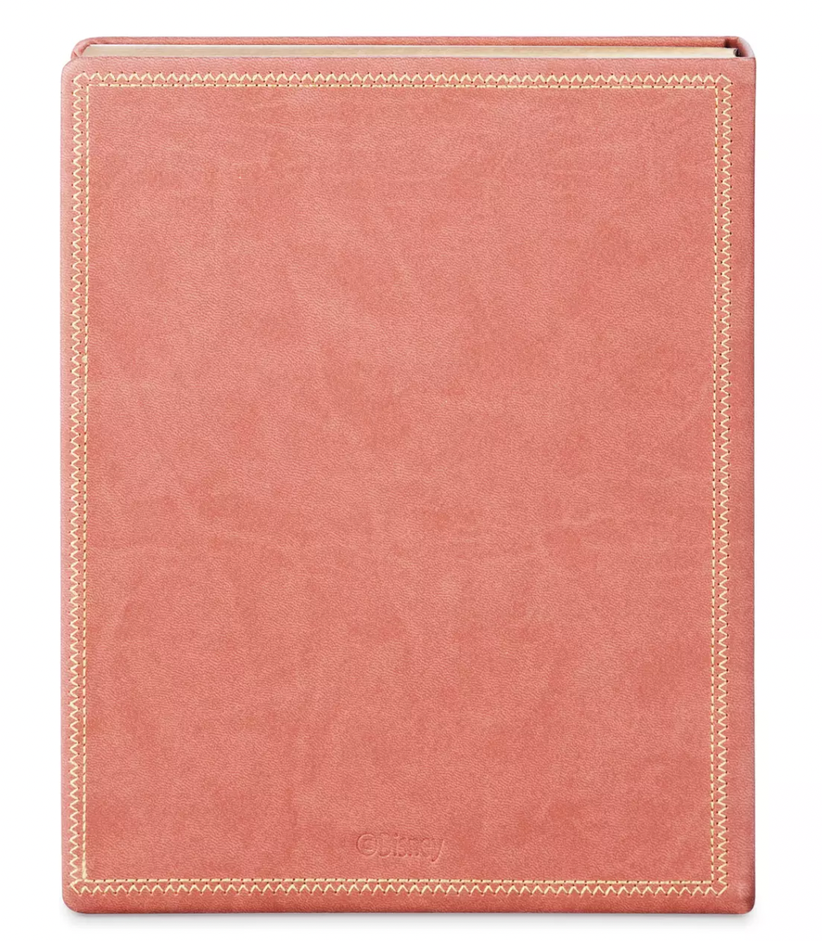 Disney From Our Family to Yours Replica Journal New